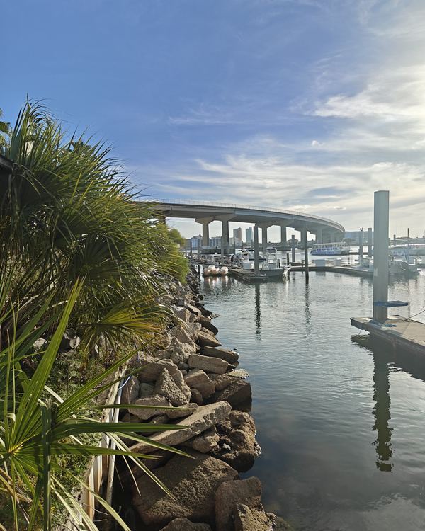 The marina rocks and the bridge on a clear evening, with calm water and boats at the docks