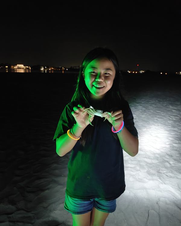 A smiling young guest holding up a crab she caught on the beach at night, glow bracelets on her wrists