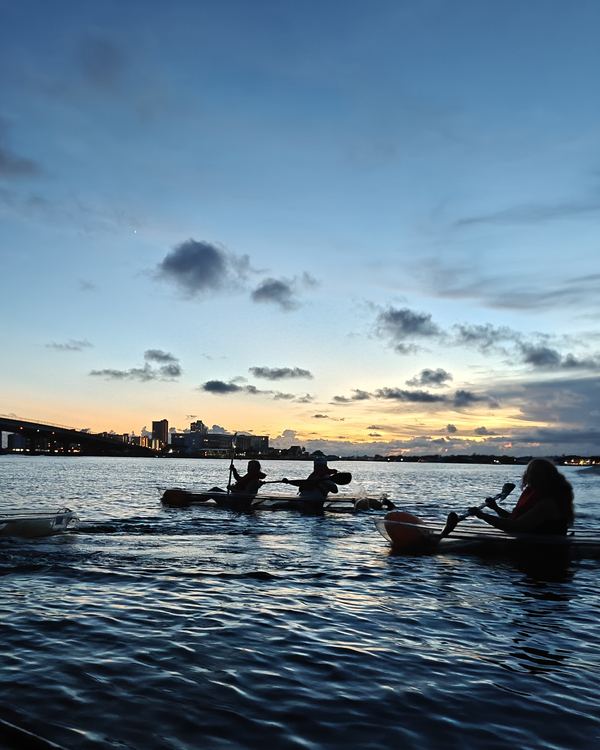 A group of kayakers paddling the calm bay at dusk, with the bridge and clouds behind them
